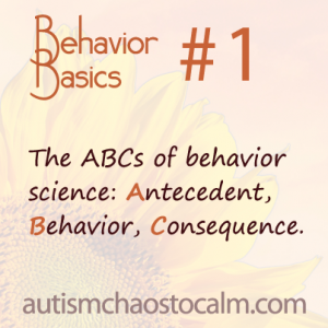 behav basics 01